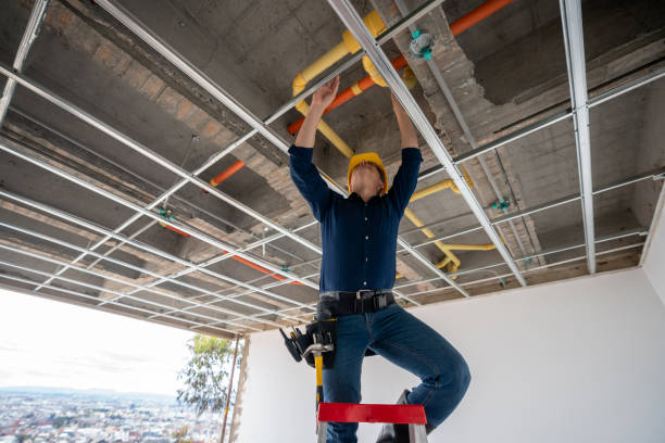 Best Water Leak Repair  in Littleton, CO